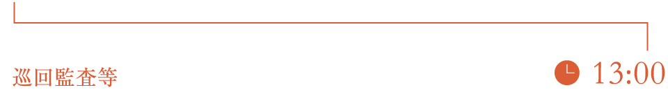 巡回監査等
